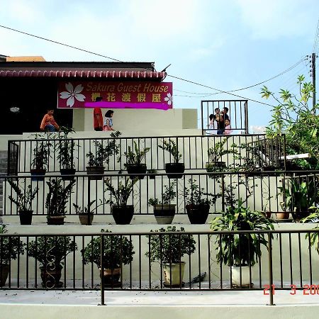 Sakura Guest House Cameron Highlands Buitenkant foto