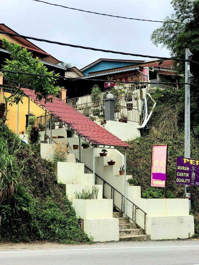 Sakura Guest House Cameron Highlands Buitenkant foto