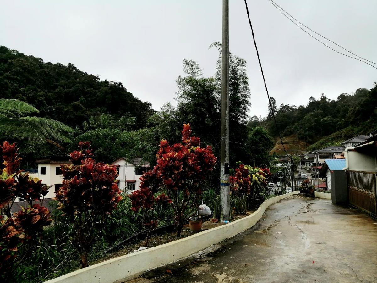 Sakura Guest House Cameron Highlands Buitenkant foto